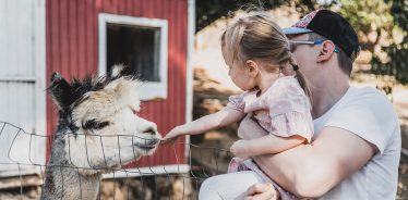 Morning Song Farm, Fallbrook, California | Farm Stay USA