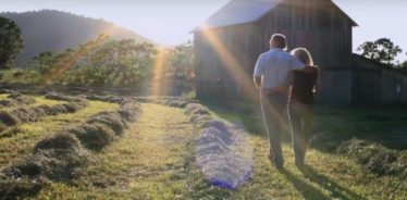 Farm Stay USA